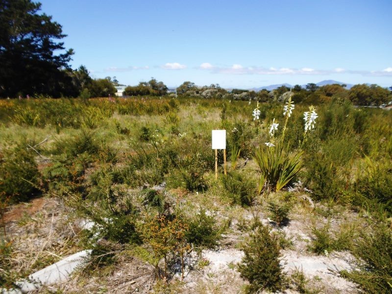 5 Barr Street, Lady Barron, Flinders Island TAS 7255