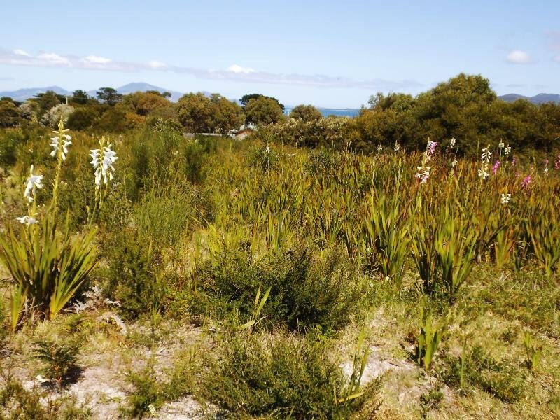 5 Barr Street, Lady Barron, Flinders Island TAS 7255