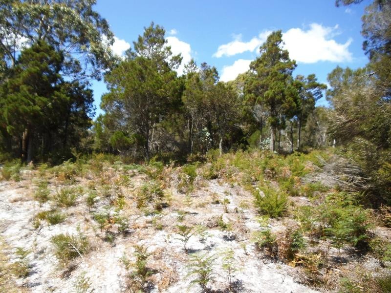 Lot 17 Moonbird Street, Lady Barron TAS 7255