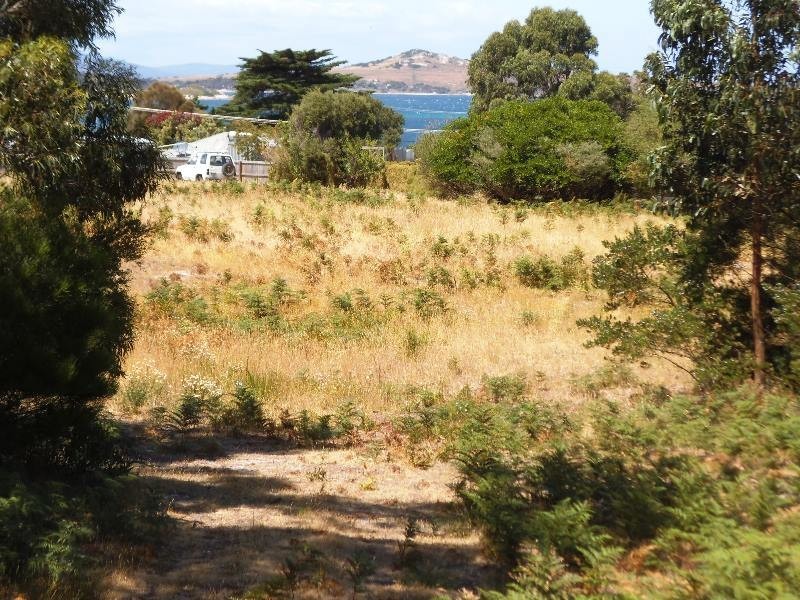 Lot 1 Barr Street, Lady Barron TAS 7255