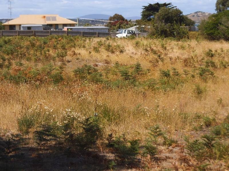 Lot 1 Barr Street, Lady Barron TAS 7255