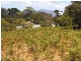 Lot 1 Barr Street, Lady Barron TAS 7255