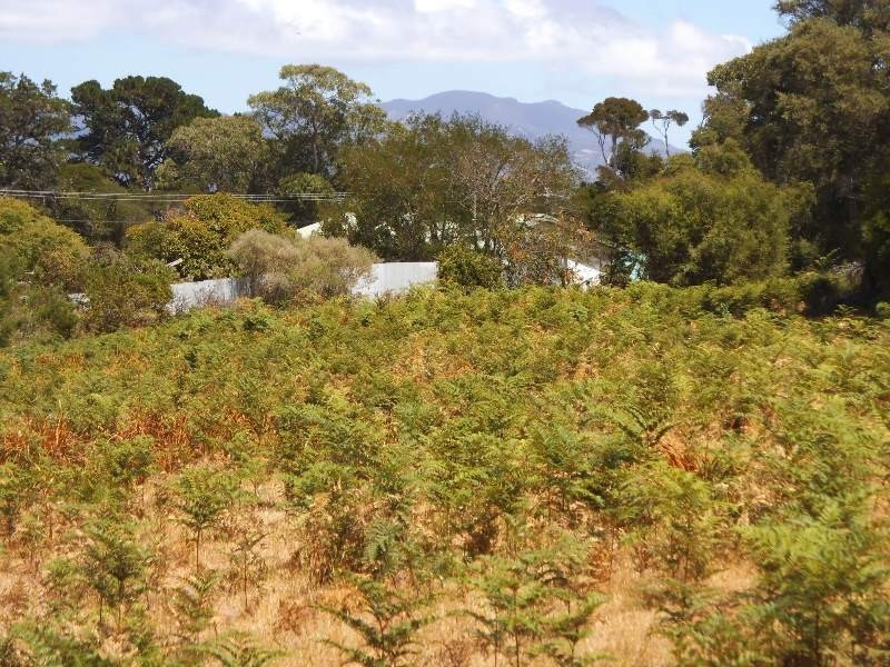 Lot 1 Barr Street, Lady Barron TAS 7255