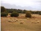 Lot 1, 634 Palana Road, Blue Rocks, Flinders Island TAS 7255