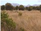 Lot 1, 634 Palana Road, Blue Rocks, Flinders Island TAS 7255