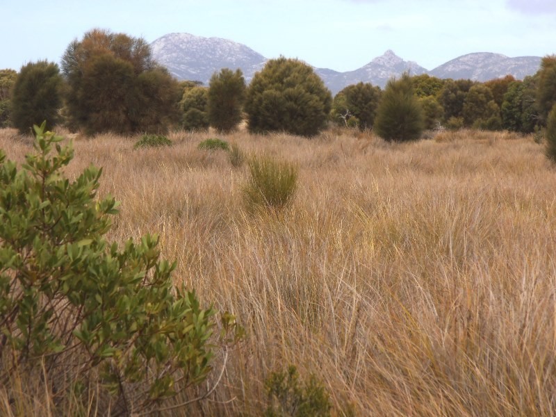 Lot 1, 634 Palana Road, Blue Rocks, Flinders Island TAS 7255