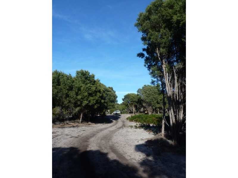 590 North East River Road, Flinders Island TAS 7255