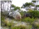 1749 Lackrana Road, Lackrana, Flinders Island TAS 7255