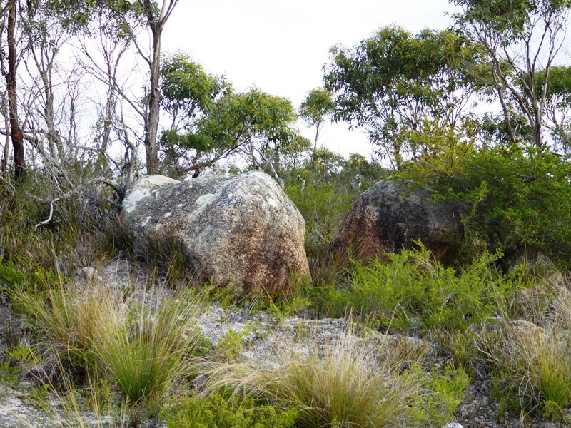 1749 Lackrana Road, Lackrana, Flinders Island TAS 7255
