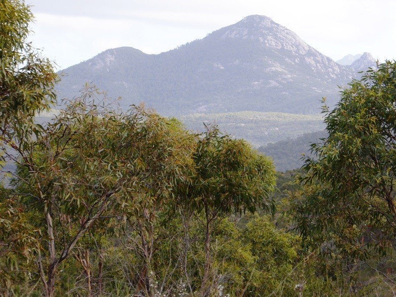 1749 Lackrana Road, Lackrana, Flinders Island TAS 7255