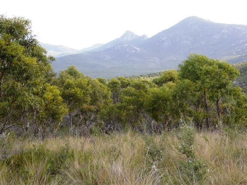 1749 Lackrana Road, Lackrana, Flinders Island TAS 7255