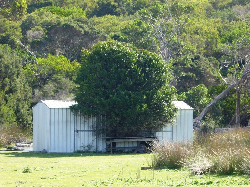 . Corner Palana and Edens Road, Flinders Island TAS 7255