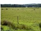 . Corner Palana and Edens Road, Flinders Island TAS 7255