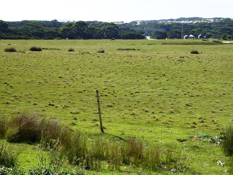 . Corner Palana and Edens Road, Flinders Island TAS 7255