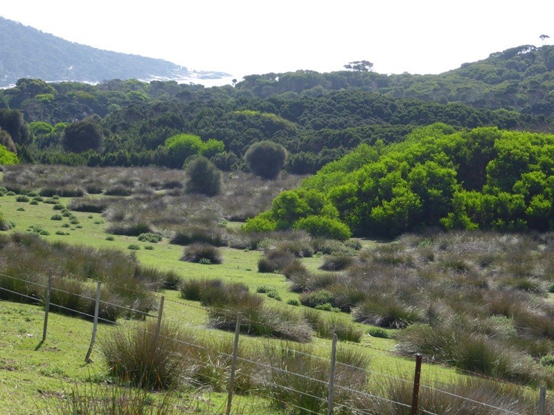 . Corner Palana and Edens Road, Flinders Island TAS 7255