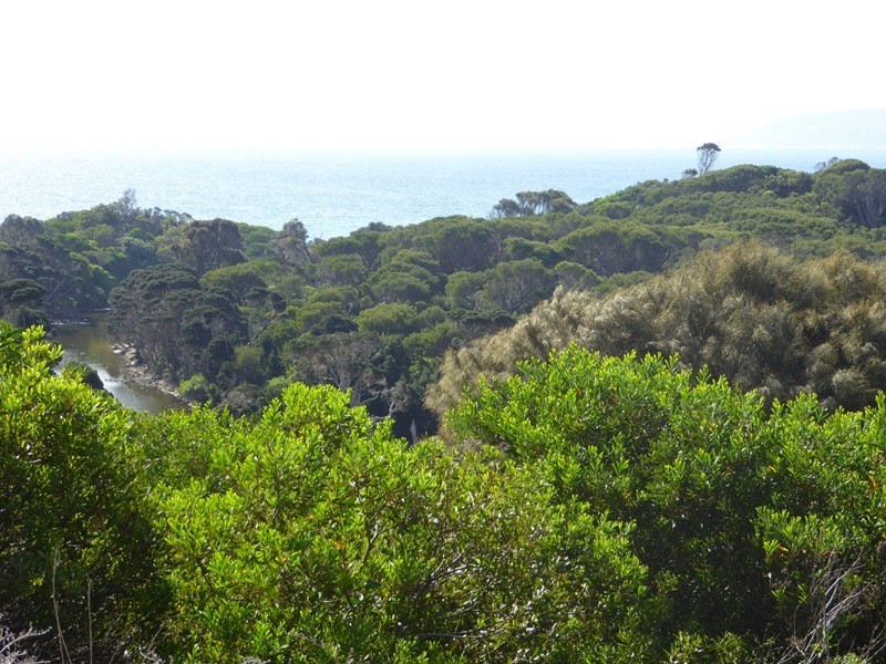 . Corner Palana and Edens Road, Flinders Island TAS 7255