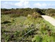 Lot 40 Thunder and Lightning Road, Cape Barren Island, Flinders Island TAS 7255