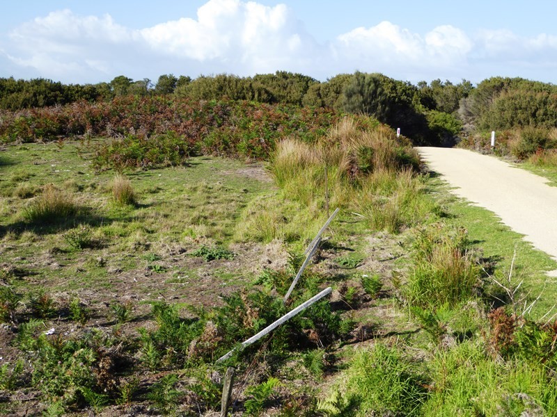 Lot 40 Thunder and Lightning Road, Cape Barren Island, Flinders Island TAS 7255