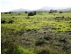 Lot 40 Thunder and Lightning Road, Cape Barren Island, Flinders Island TAS 7255