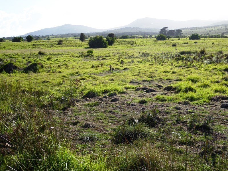 Lot 40 Thunder and Lightning Road, Cape Barren Island, Flinders Island TAS 7255