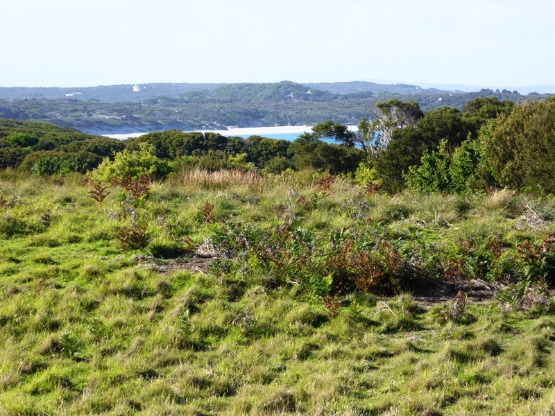 Lot 40 Thunder and Lightning Road, Cape Barren Island, Flinders Island TAS 7255