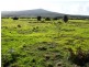Lot 40 Thunder and Lightning Road, Cape Barren Island, Flinders Island TAS 7255