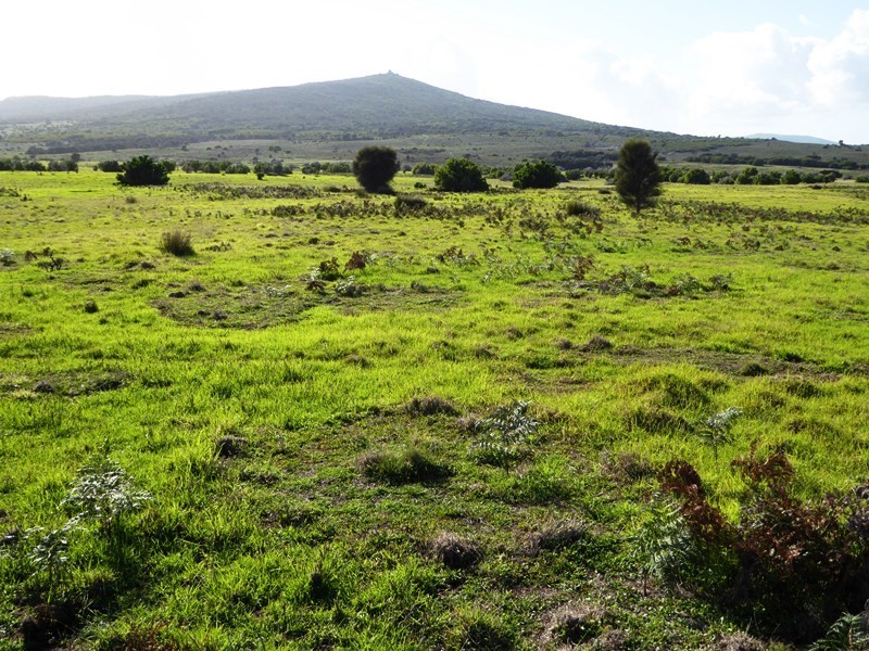 Lot 40 Thunder and Lightning Road, Cape Barren Island, Flinders Island TAS 7255
