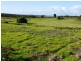 Lot 40 Thunder and Lightning Road, Cape Barren Island, Flinders Island TAS 7255