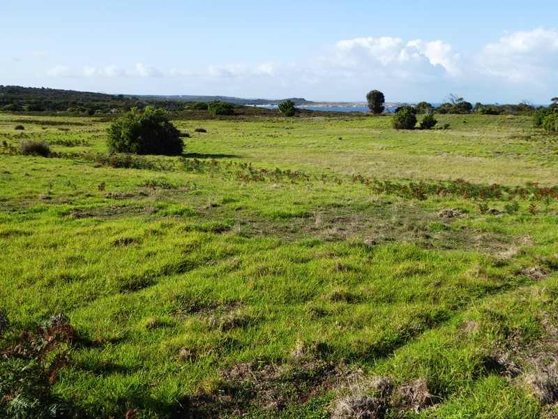 Lot 40 Thunder and Lightning Road, Cape Barren Island, Flinders Island TAS 7255