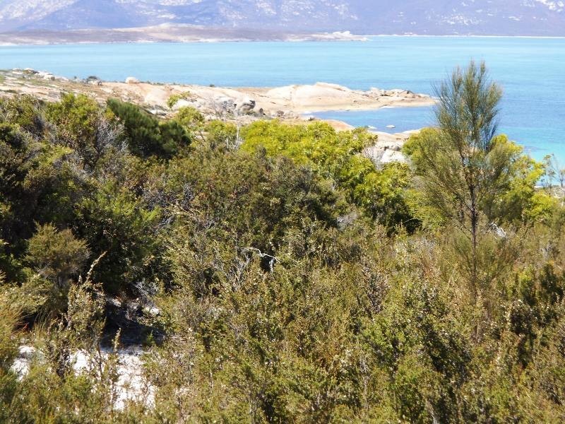 . Big River Road, Sarah Blanche Point, Loccota TAS 7255