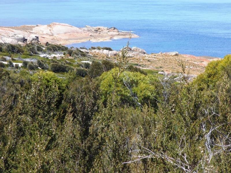 . Big River Road, Sarah Blanche Point, Loccota TAS 7255
