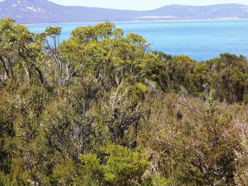 . Big River Road, Sarah Blanche Point, Loccota TAS 7255