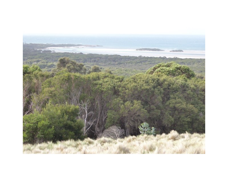 PID 7557696 North East River Road, Palana TAS 7255