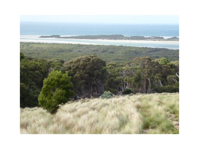 PID 7557696 North East River Road, Palana TAS 7255