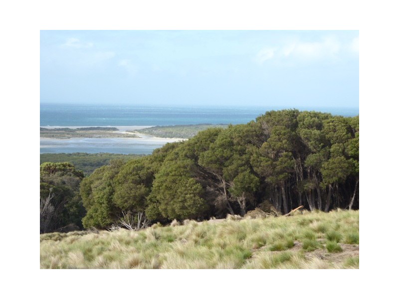 PID 7557696 North East River Road, Palana TAS 7255