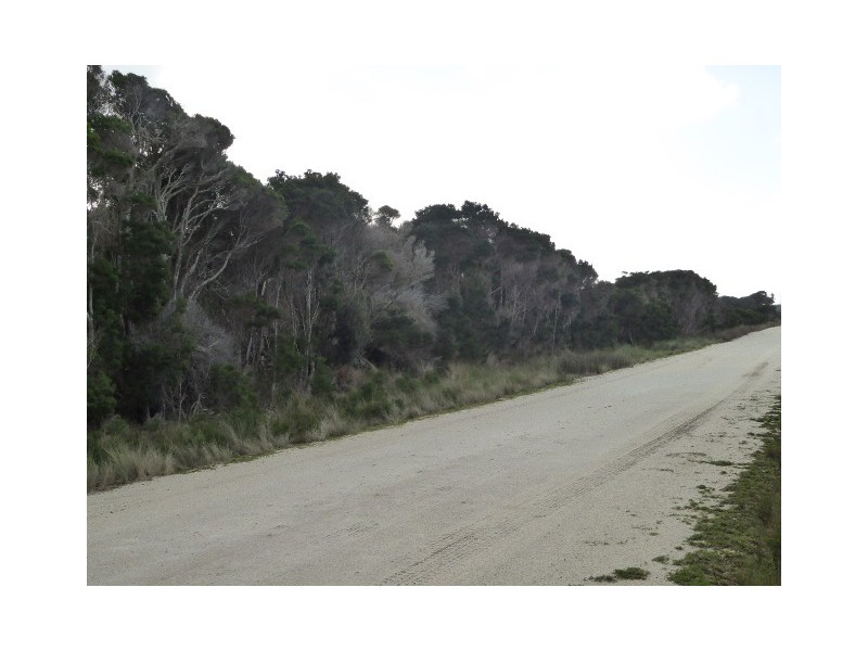 PID 7557696 North East River Road, Palana TAS 7255