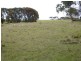 51719/1 Port Davies Road, Emita, Flinders Island TAS 7255