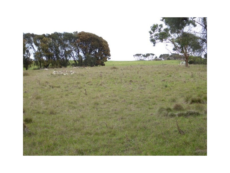 51719/1 Port Davies Road, Emita, Flinders Island TAS 7255