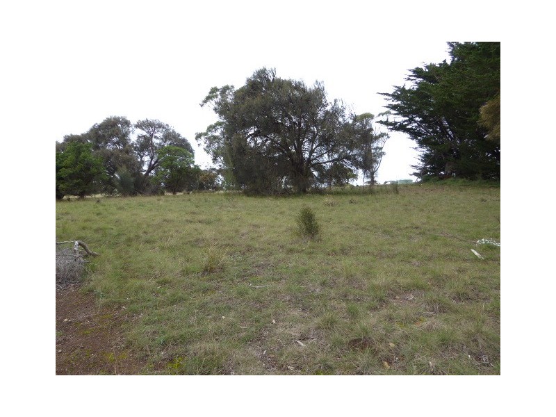 51719/1 Port Davies Road, Emita, Flinders Island TAS 7255