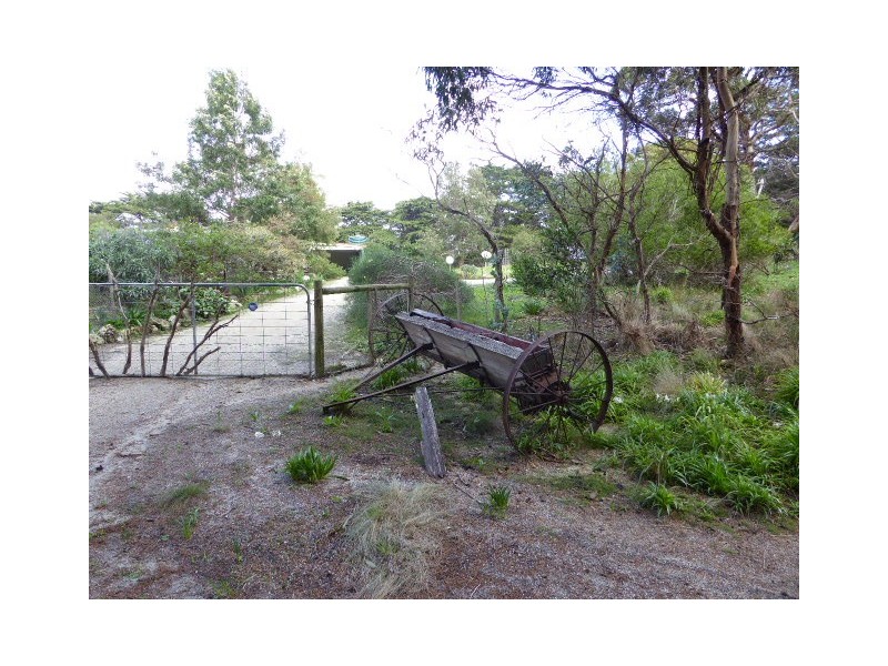 160 Edens Road, Palana, Flinders Island TAS 7255