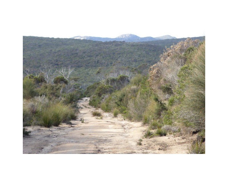 PID 7664096 Boat Harbour Road, Killiecrankie TAS 7255