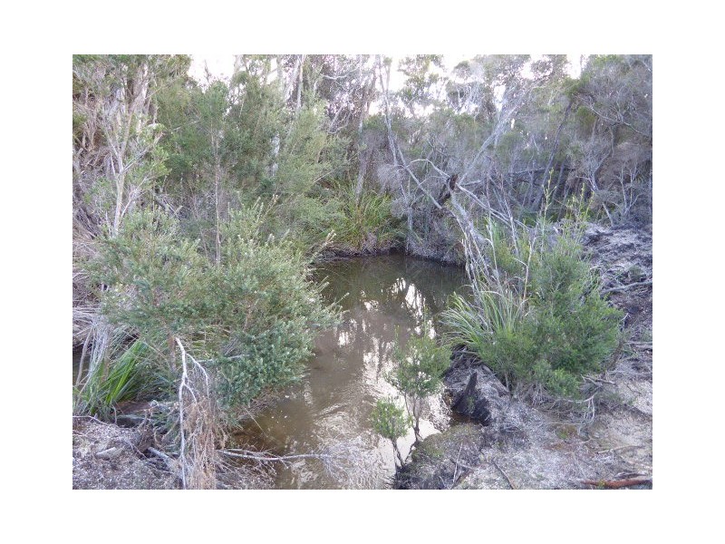 PID 7664096 Boat Harbour Road, Killiecrankie TAS 7255