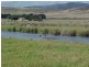 Lot 1 James Court, Whitemark TAS 7255