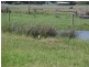Lot 1 James Court, Whitemark TAS 7255