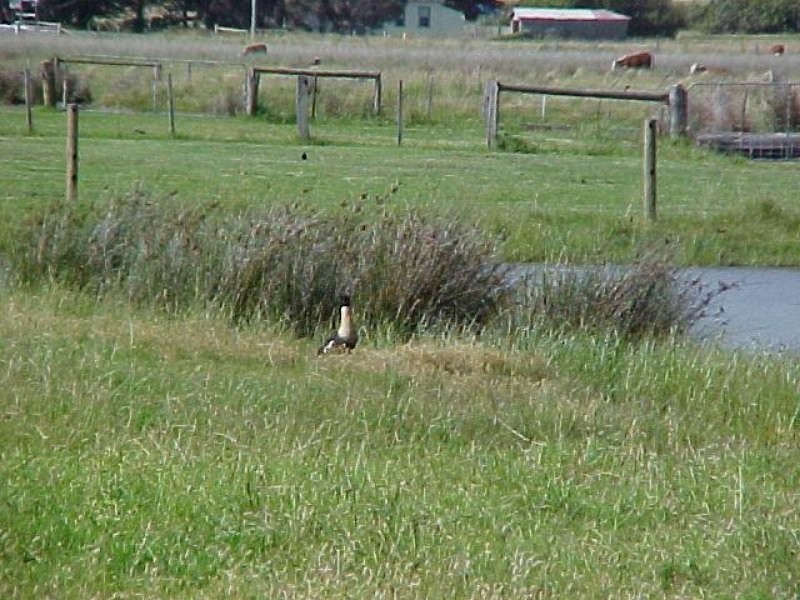 Lot 1 James Court, Whitemark TAS 7255
