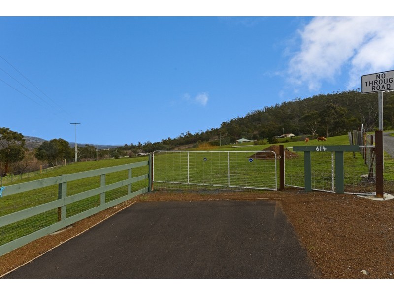 614 Boyer Road, Dromedary TAS 7030