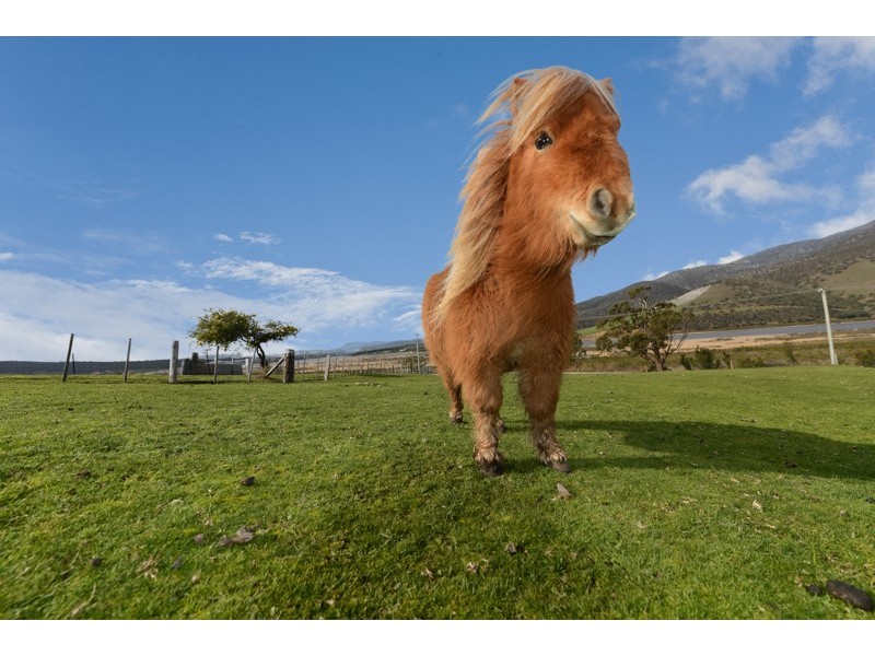 614 Boyer Road, Dromedary TAS 7030
