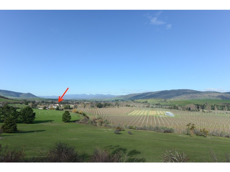 649 Gordon River Road, Bushy Park TAS 7140