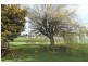 31 Patrick Street, Bothwell TAS 7030