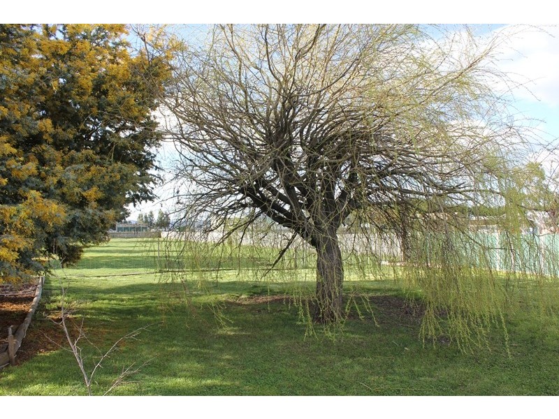 31 Patrick Street, Bothwell TAS 7030